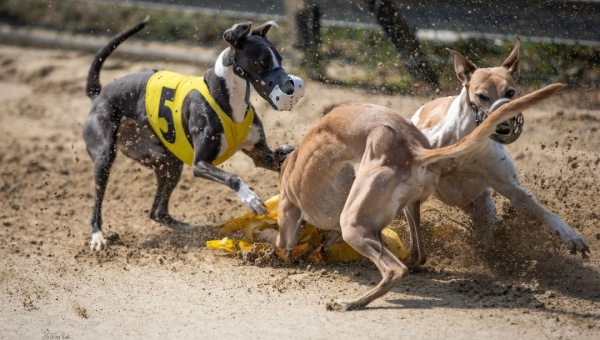 Training am 24.08.2025